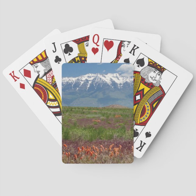 Utah, USA. Mt. Timpanogos Rises Above Playing Cards (Back)