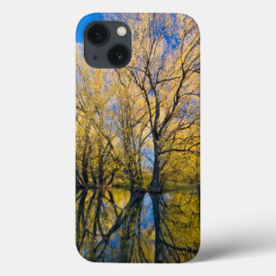 Utah. USA. Peachleaf Willow Trees iPhone 13 Case