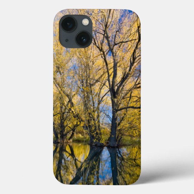 Utah. USA. Peachleaf Willow Trees Case-Mate iPhone Case (Back)