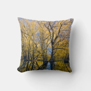 Utah. USA. Peachleaf Willow Trees Cushion