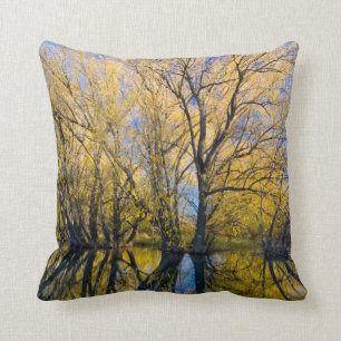 Utah. USA. Peachleaf Willow Trees Cushion