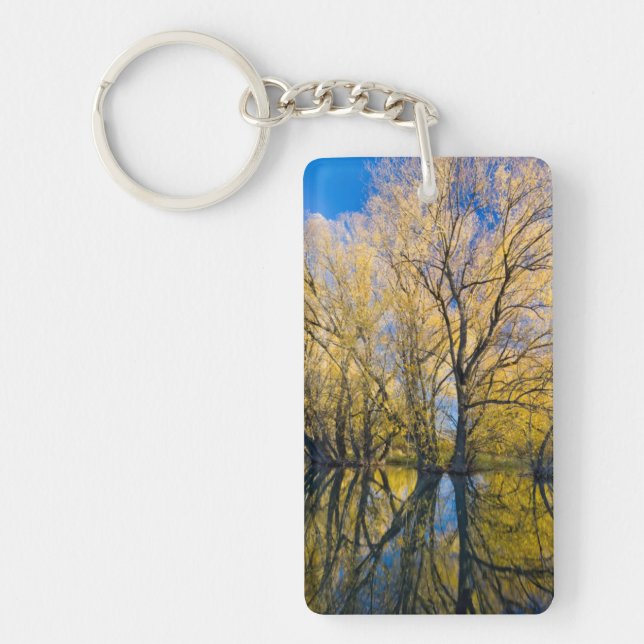 Utah. USA. Peachleaf Willow Trees Key Ring (Front)