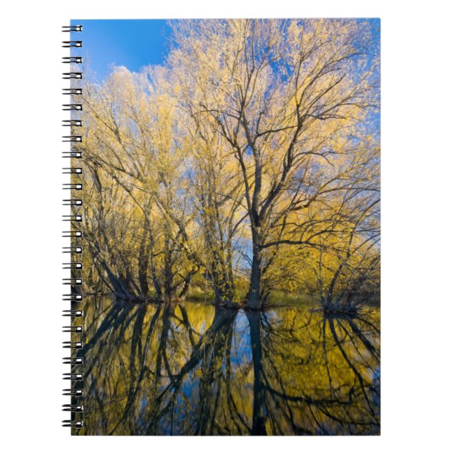 Utah. USA. Peachleaf Willow Trees Notebook (Front)
