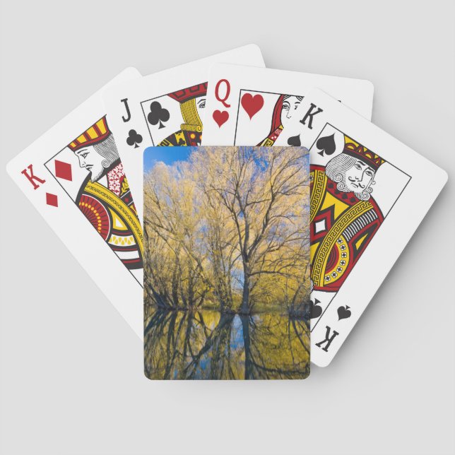 Utah. USA. Peachleaf Willow Trees Playing Cards (Back)