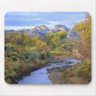 UTAH. USA. Pleasant Creek in autumn at sunrise. Mouse Pad