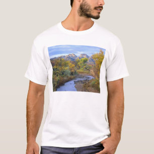 UTAH. USA. Pleasant Creek in autumn at sunrise. T-Shirt