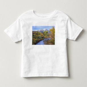 UTAH. USA. Pleasant Creek in autumn at sunrise. Toddler T-Shirt