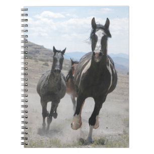 Utah Wild Horses Running Notebook