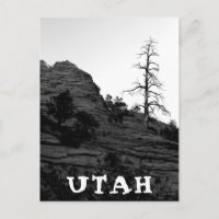 UTAH Zion National Park Lone Tree Black White