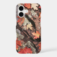Utah, Zion National Park, Patterns of autumn