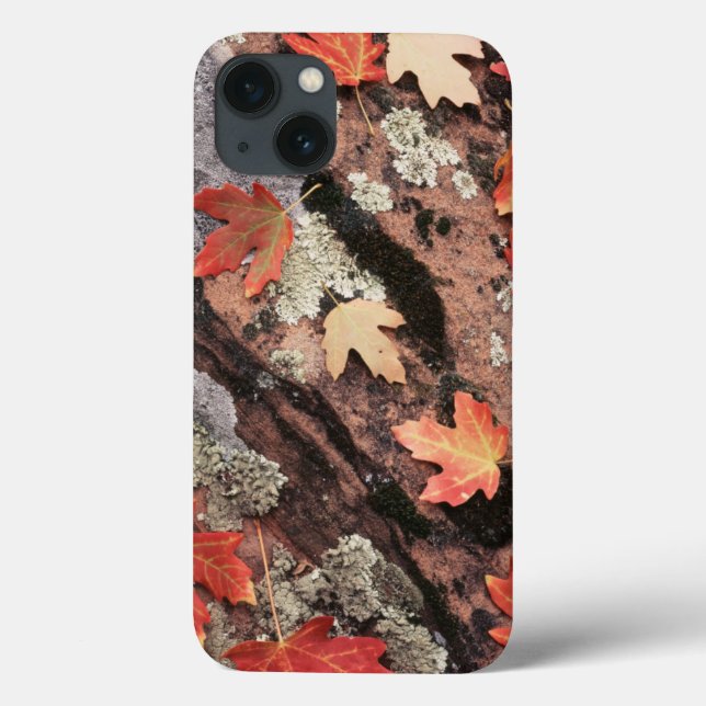 Utah, Zion National Park, Patterns of autumn Case-Mate iPhone Case (Back)