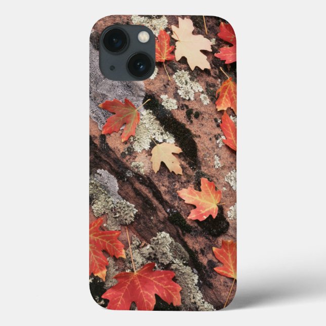 Utah, Zion National Park, Patterns of autumn Case-Mate iPhone Case (Back)