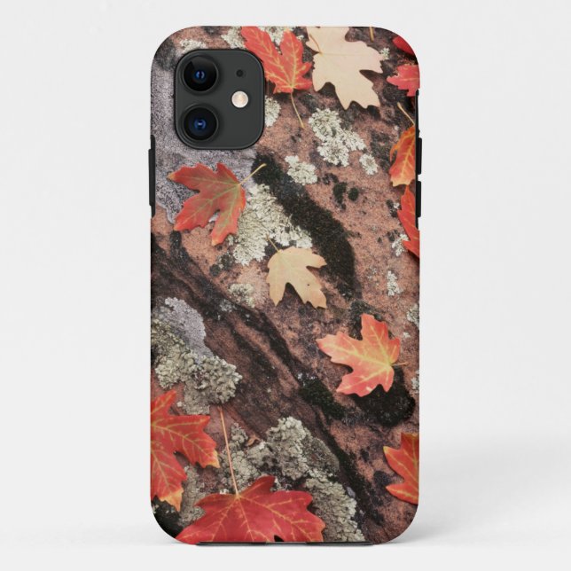 Utah, Zion National Park, Patterns of autumn Case-Mate iPhone Case (Back)