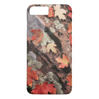 Utah, Zion National Park, Patterns of autumn