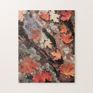 Utah, Zion National Park, Patterns of autumn Jigsaw Puzzle