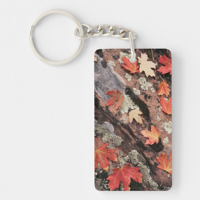 Utah, Zion National Park, Patterns of autumn Key Ring (Front)