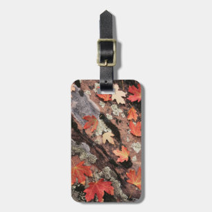 Utah, Zion National Park, Patterns of autumn Luggage Tag