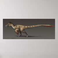 Utahraptor