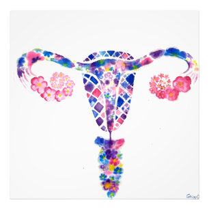 Uterus Photo Print