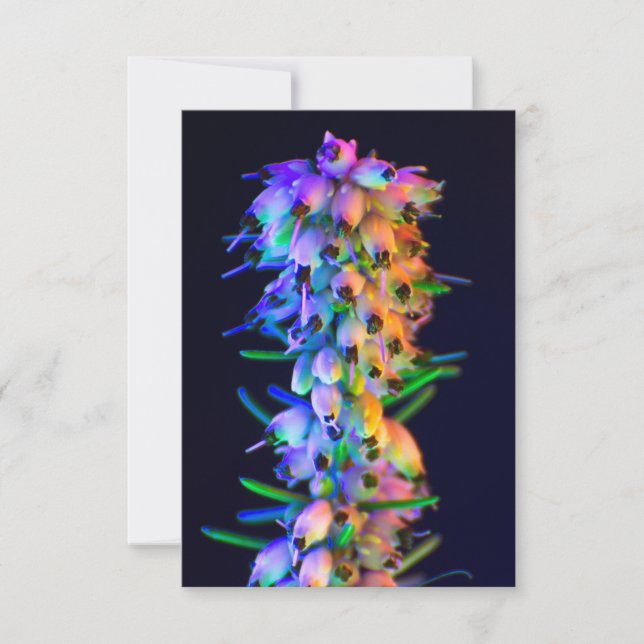 UV Ultra-Violet Flowers Greeting Card (Front)