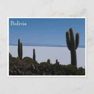 uyuni cacti bolivia postcard