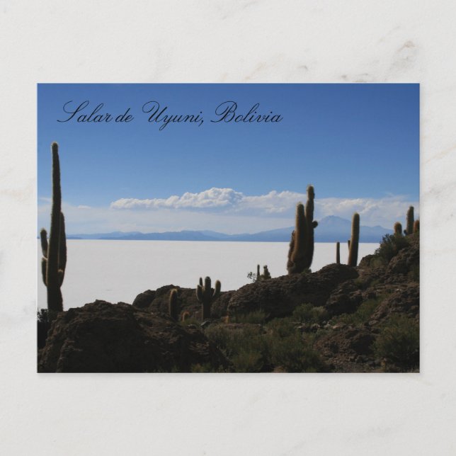 uyuni cacti postcard (Front)
