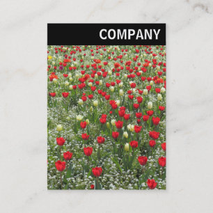 V Header - Bed of Tulips Business Card