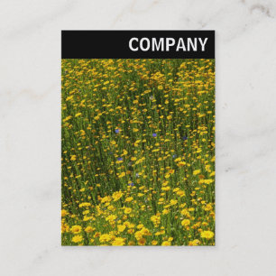 V Header - Bed of Yellow Daisies Business Card
