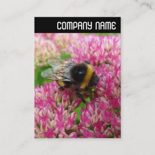 V Header - Bumble Bee on Sedum Business Card