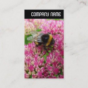 V Header - Bumble Bee Sedum Business Card