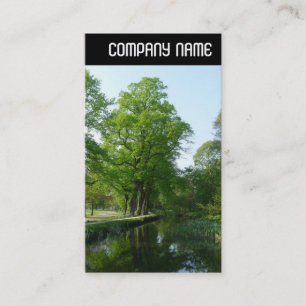 V Header - Canal Business Card