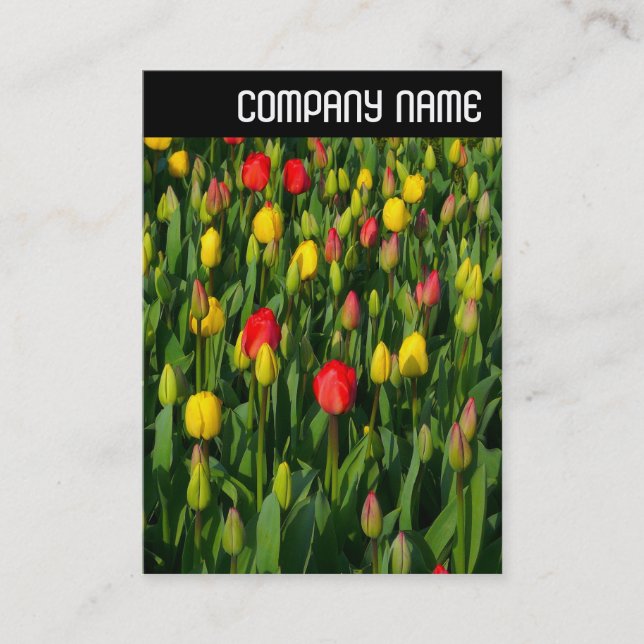 V Header - Colourful Tulips Business Card (Front)