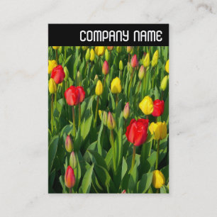 V Header - Colourful Tulips II Business Card