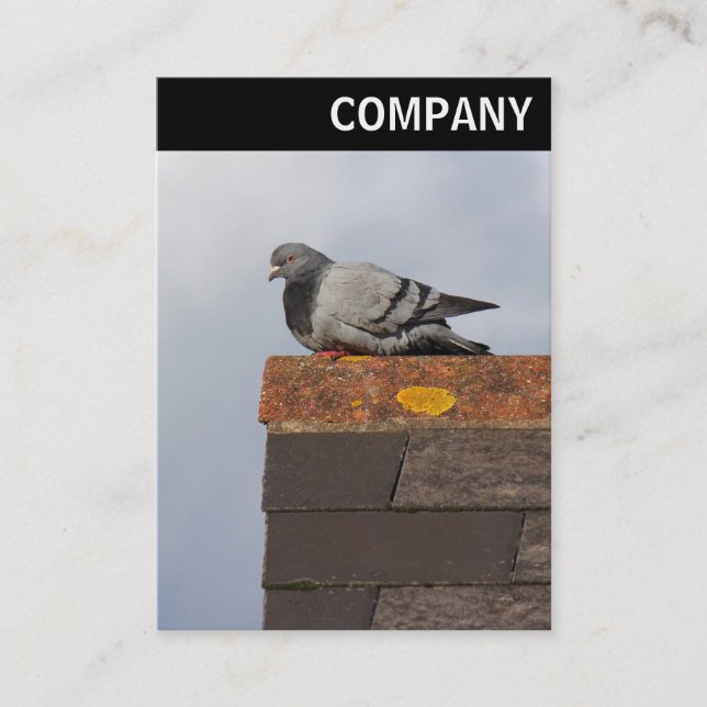 V Header - Good Morning Pigeon Business Card (Front)