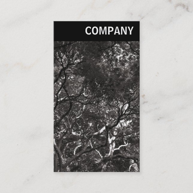 V Header - Japanese Branches 01 Business Card (Front)
