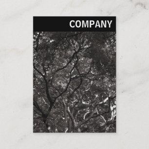 V Header - Japanese Branches 01 Business Card