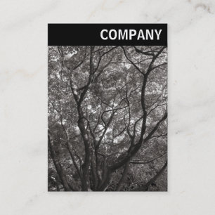 V Header - Japanese Branches 02 Business Card