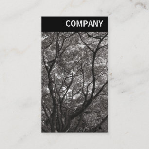 V Header - Japanese Branches 02 Business Card