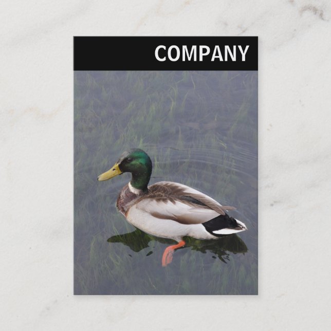 V Header - Mallard Duck Business Card (Front)