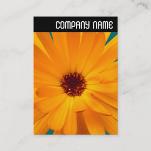 V Header - Orange Marigold Business Card