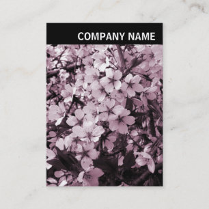 V Header - Photo - Cherry Blossom Business Card