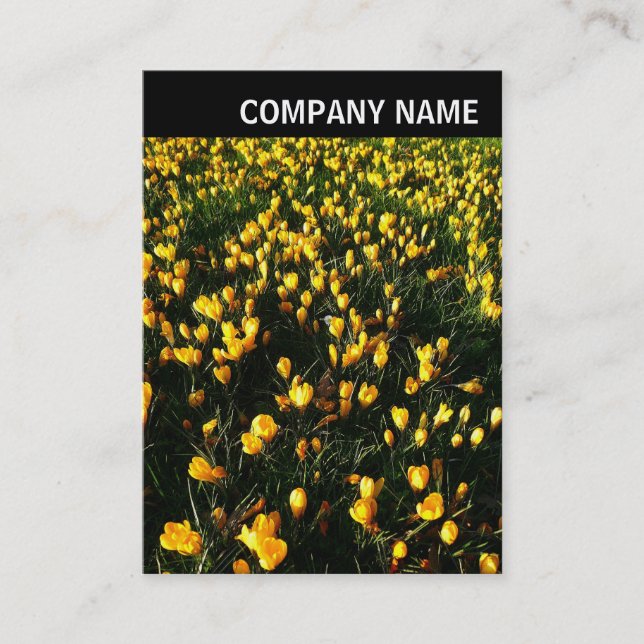V Header - Photo - Crocuses Business Card (Front)