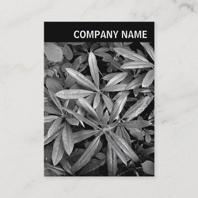 V Header - Photo - Rhododendron Leaves Business Card (Front)