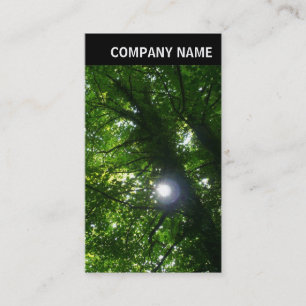 V Header - Photo - Sun in The Trees Business Card