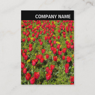 V Header - Photo - Tulips Business Card