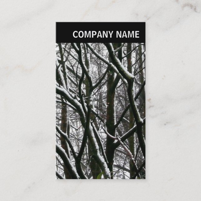 V Header - Photo - Winter Branches Business Card (Front)