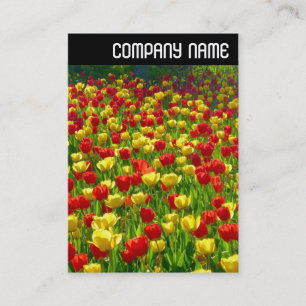 V Header - Sea of Tulips Business Card