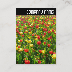 V Header - Sea of Tulips II Business Card
