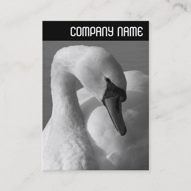 V Header - Swan B&W Business Card (Front)