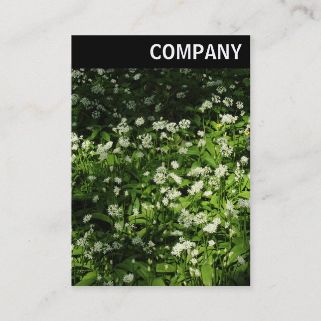 V Header - Wild Garlic Business Card (Front)